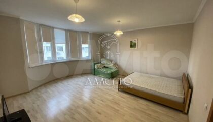 1-к квартира, 47,1 м², 5/10 эт.